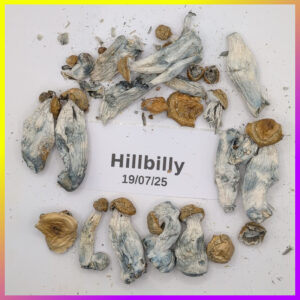HillBilly Whole Mushrooms