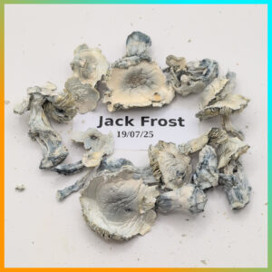 Jack Frost Whole Mushrooms