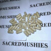 Psilocybin Mushroom Capsules - Stronger Dose 300mg 💊