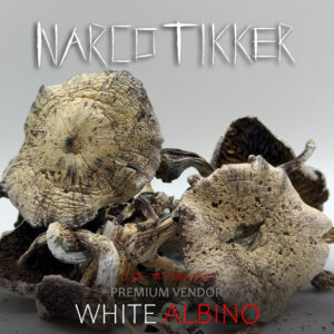 White Albino Mushrooms